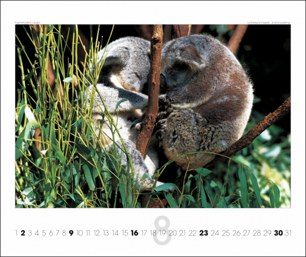 AUSTRALIEN KALENDER